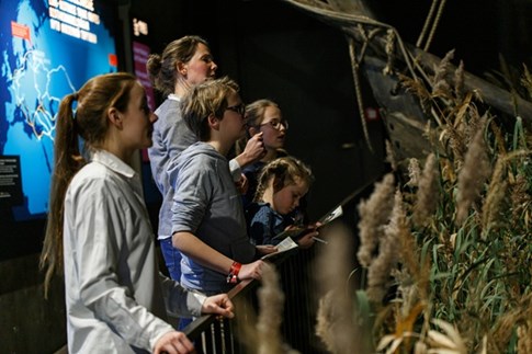 Room Neva - European Hansemuseum Lübeck