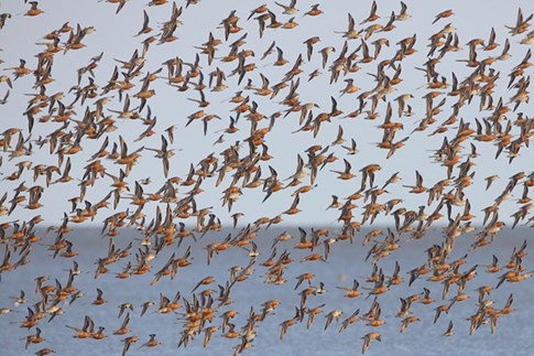 The Wadden Sea Centre