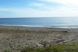 The sandy beach in Calahonda