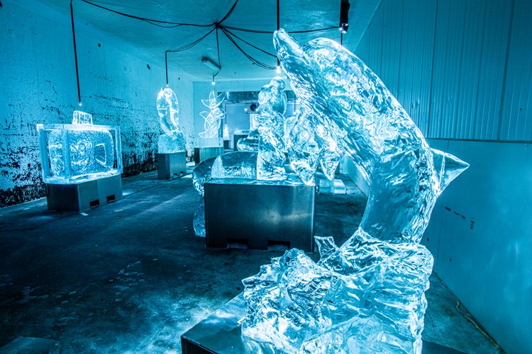 A dolphin as an ice sculpture at the museum Iskunsten