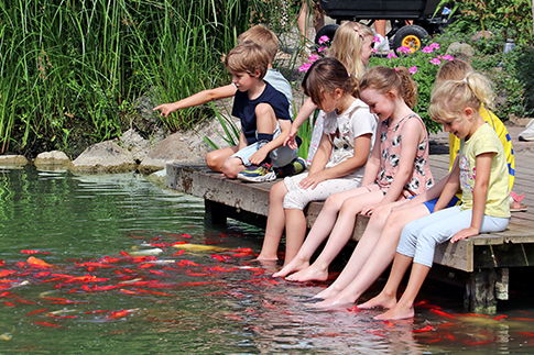 Children with their feet in the water while fish swim around them