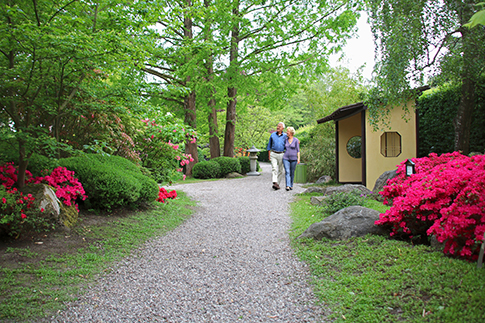 An elderly couple strolls through the Japanese Garden in Birkegårdens Haver