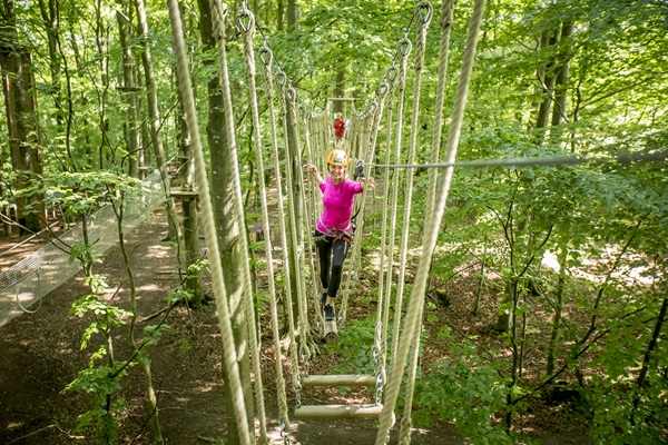 Camp Adventure climbing park