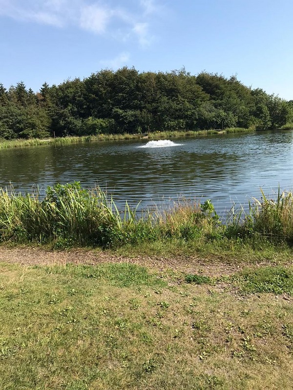 Arrild Fiskesø is a private fishing facility in Arrild Ferieby, Denmark