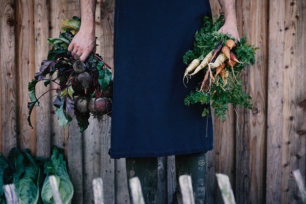 Local, organic ingredients from Rabarbergaarden Slottet