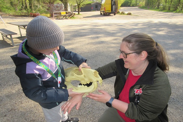 A child with a sunflower lanyard at GIVSKUD ZOO – ZOOTOPIA