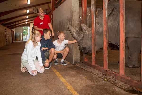 Children get a behind-the-scenes look and visit the rhinos at GIVSKUD ZOO – ZOOTOPIA