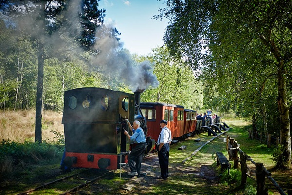 Steam Locomotive at Hjerl Hede