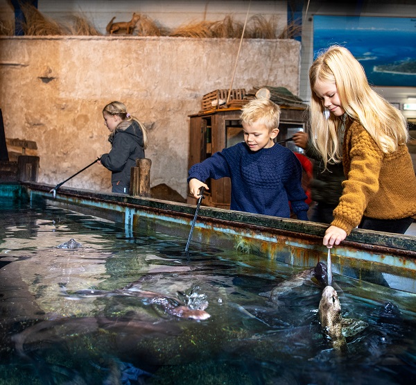 Children feed sharks at JyllandsAkvariet in Thyborøn