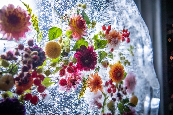 Ice artwork with flowers at the museum Iskunsten