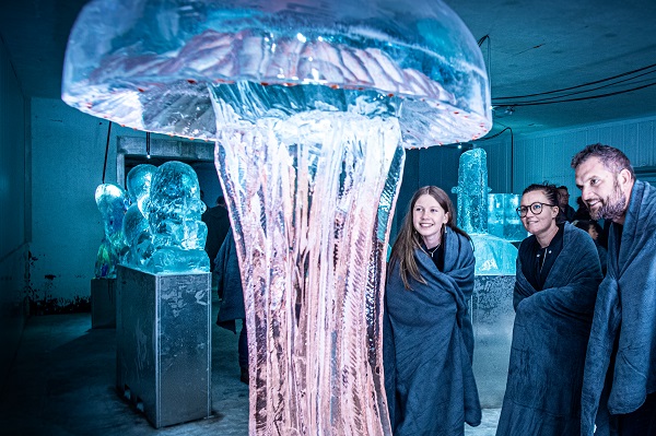 A jellyfish as an ice sculpture at Museum Iskunsten.