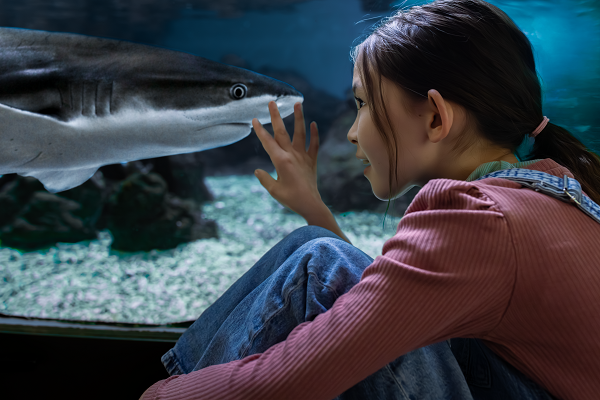 girl and shark