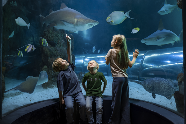 children looking at aquarium