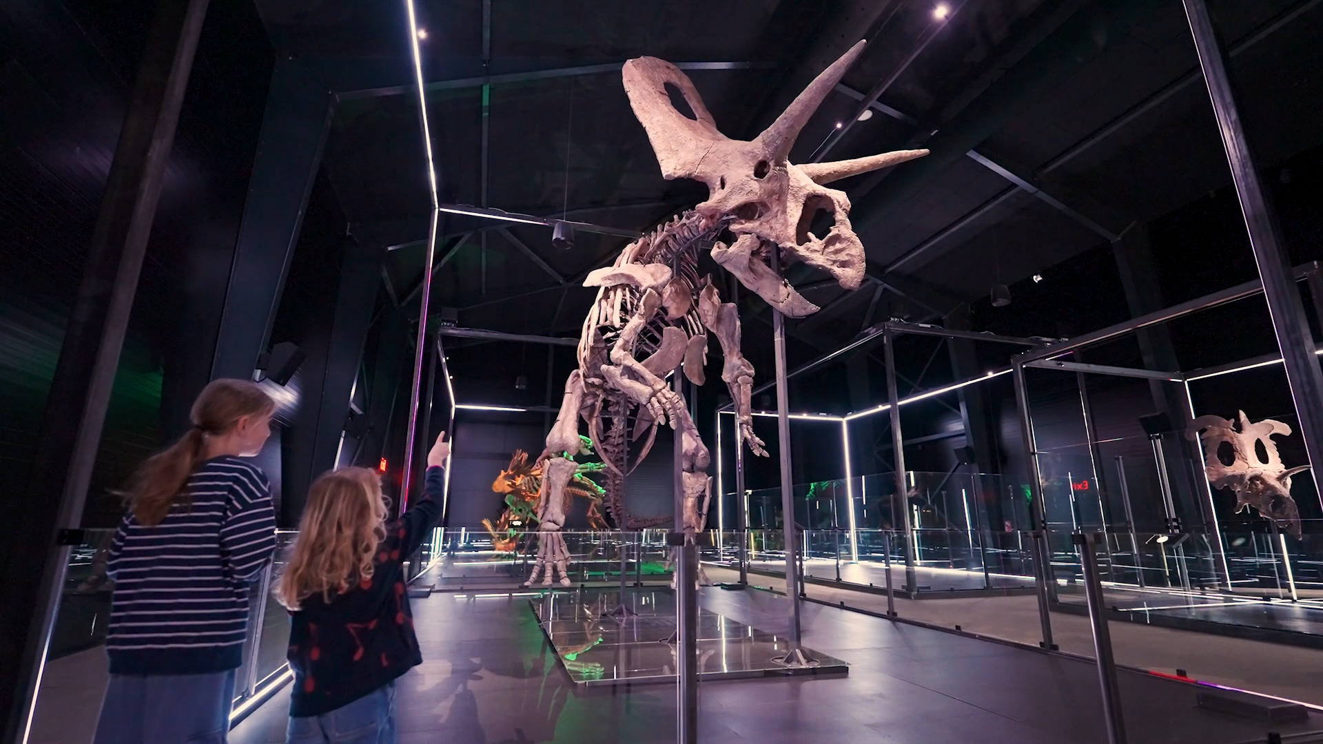 Dinosaur skeleton at the Evolution Museum in Knuthenborg Safaripark