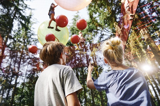 Children play with balls in a large net high up in the trees at WOW PARK